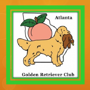 atlanta golden retriever club cca events golden retriever club of america atlanta golden retriever club cca events golden retriever club of america