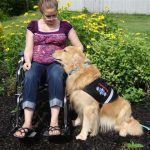 Therapy Dog