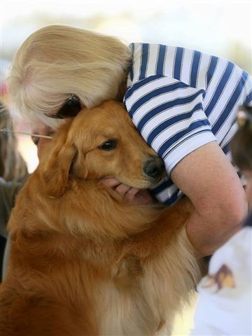 rhonda hovan golden retrievers understanding cancer in golden retrievers golden rhonda hovan golden retrievers understanding cancer in golden retrievers golden