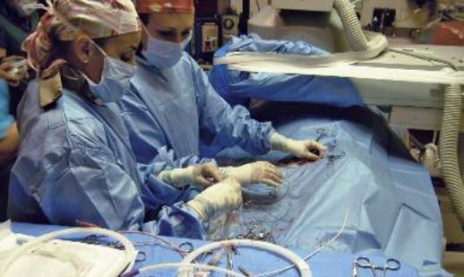 subvalvular aortic stenosis in golden retrievers disease subvalvular aortic stenosis sas golden retriever club of america subvalvular aortic stenosis in golden retrievers disease subvalvular aortic stenosis sas golden retriever club of america