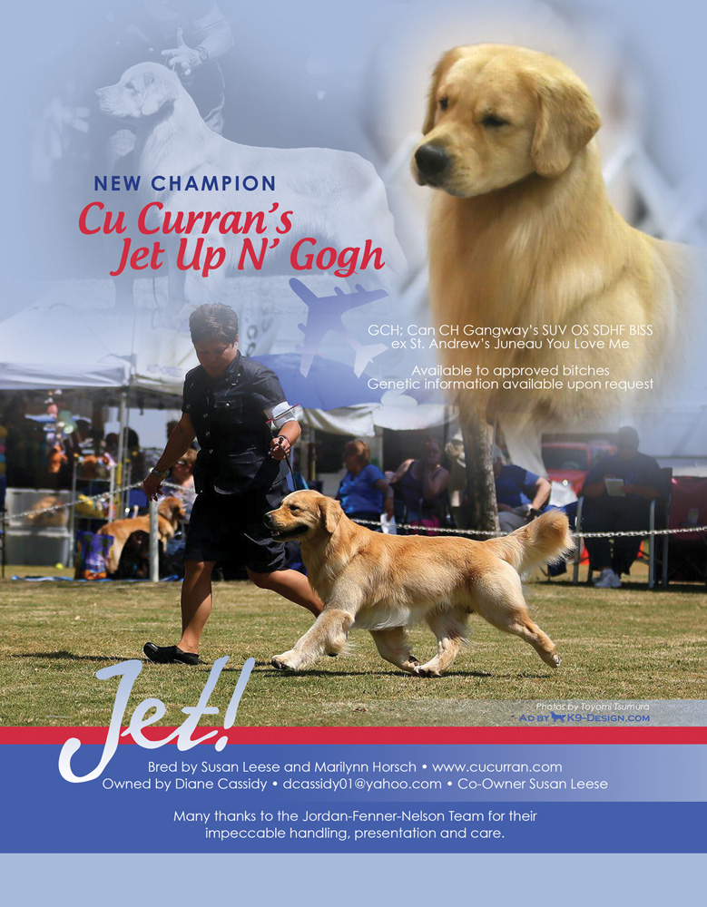 golden retriever news golden retriever news ads golden retriever club of america golden retriever news golden retriever news ads golden retriever club of america